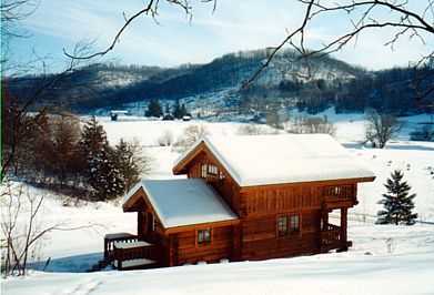 Cabin in the winter
