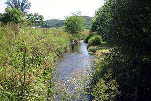 Fishing Stream