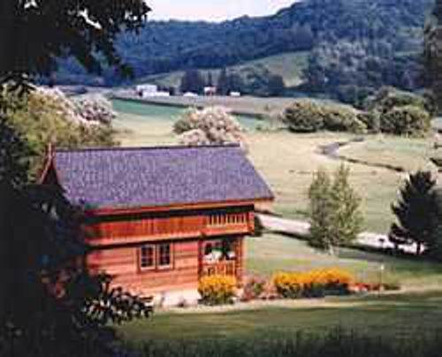 Beautiful View